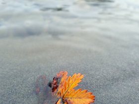 20161007_174826_processed.jpg