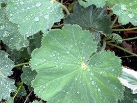img_1056.jpg