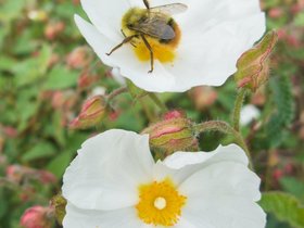 l1090608_01.jpg