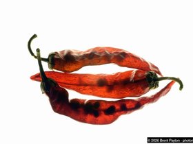 three-peppers.jpg