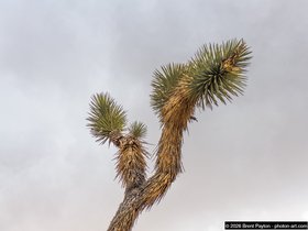 l1070349_edited.jpg