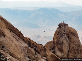 l1070580_edited.jpg